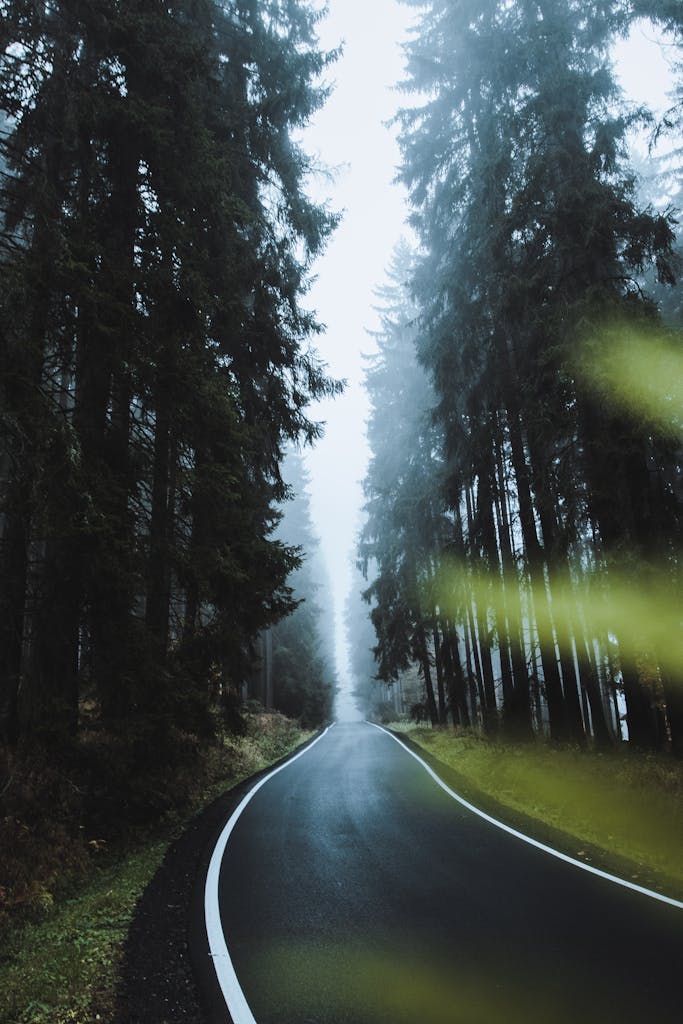 Rides
Focus Ride
Shared Ride
Expedition Ride
Reset
Trip2Yourself